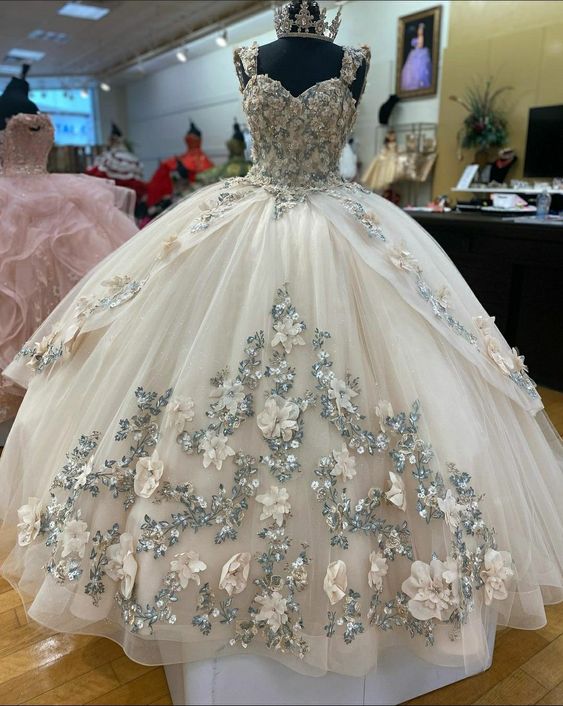 A-line Tulle Ball Gown Puffy Sweet 16 Dress 3D Flowers Birthday Dress